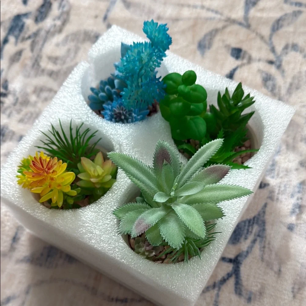 NIB Artificial Succulent Set - Multicolor